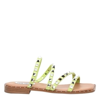 Buy Gold Flat Sandals for Women by STEVE MADDEN Online  Ajiocom