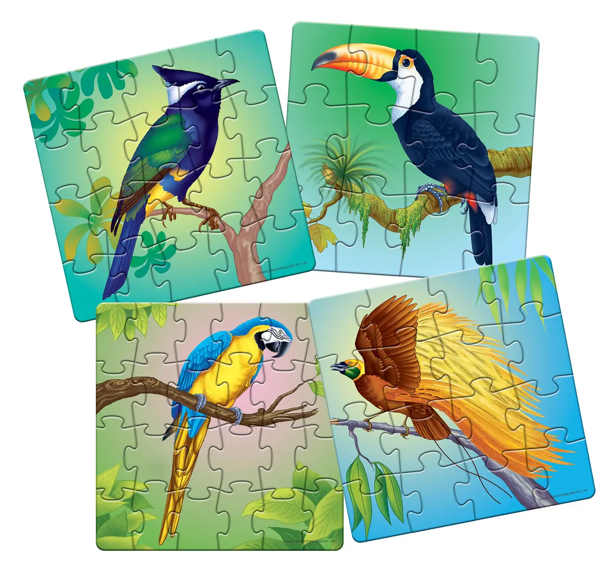 Frank Exotic Birds Floor Puzzles Multicolor 4Y+