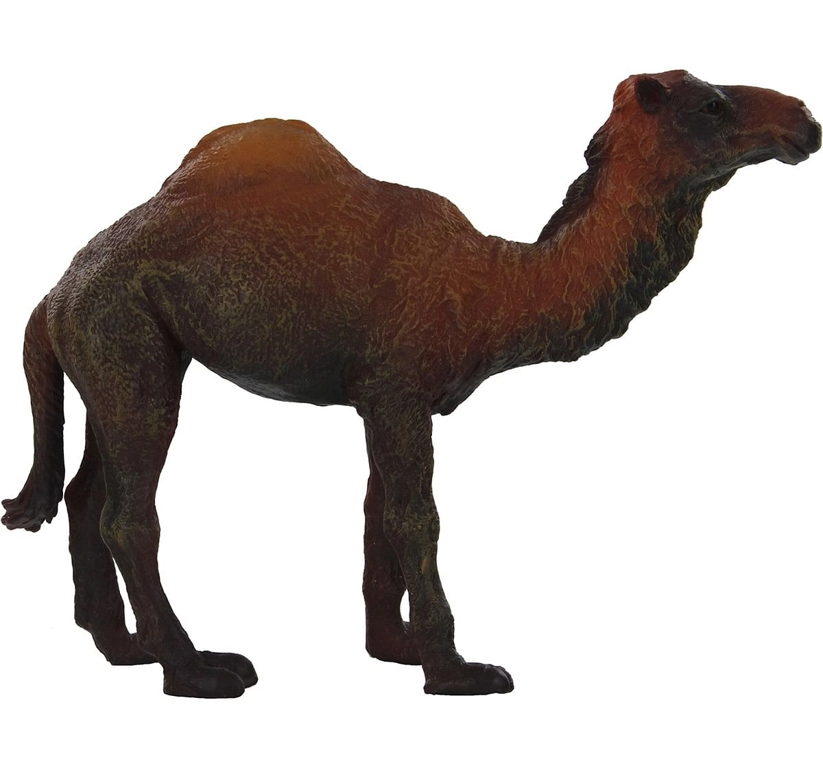 Collecta Dromedary Brown Camel Animal Figure for Kids age 3Y+ (Yellow)