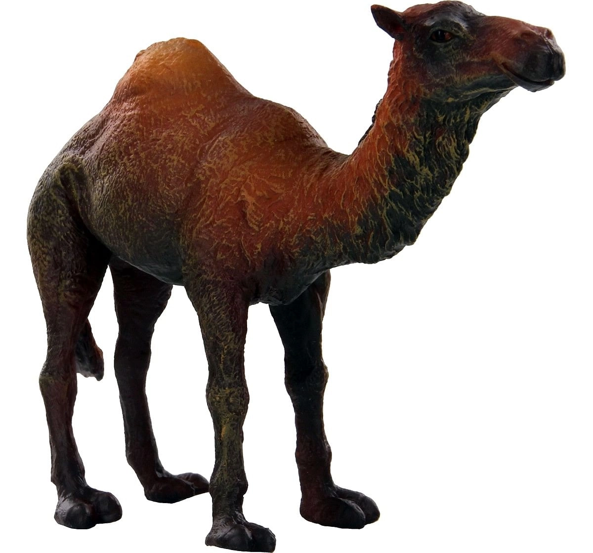 Collecta Dromedary Brown Camel Animal Figure for Kids age 3Y+ (Yellow)
