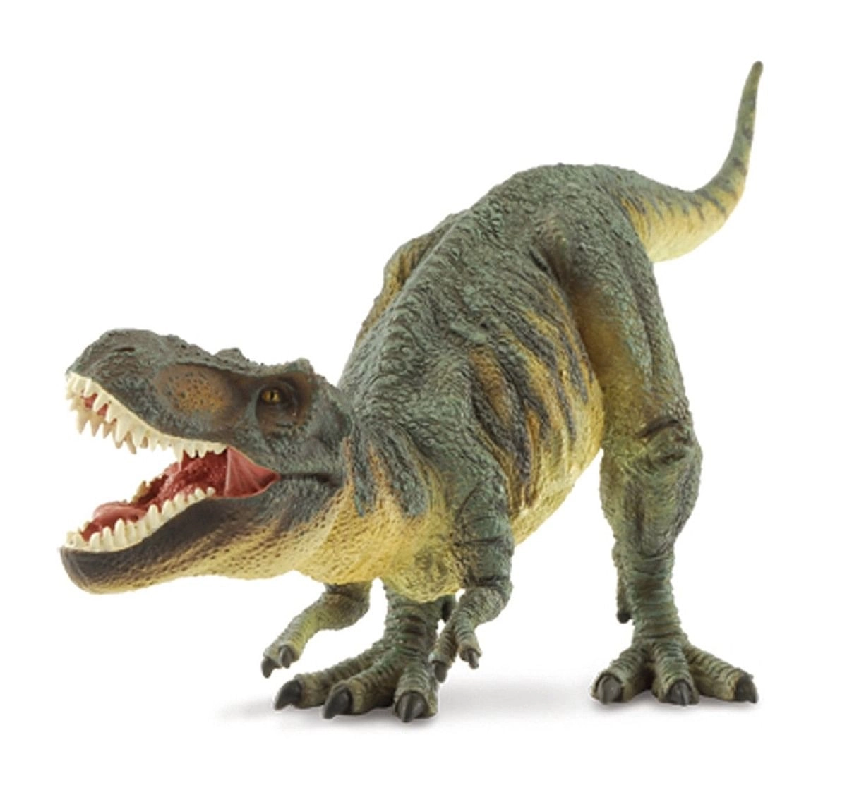Collecta Tyrannosaurus Rex Toy (1:40 Scale) Animal Figure for Kids age 3Y+ (Green)