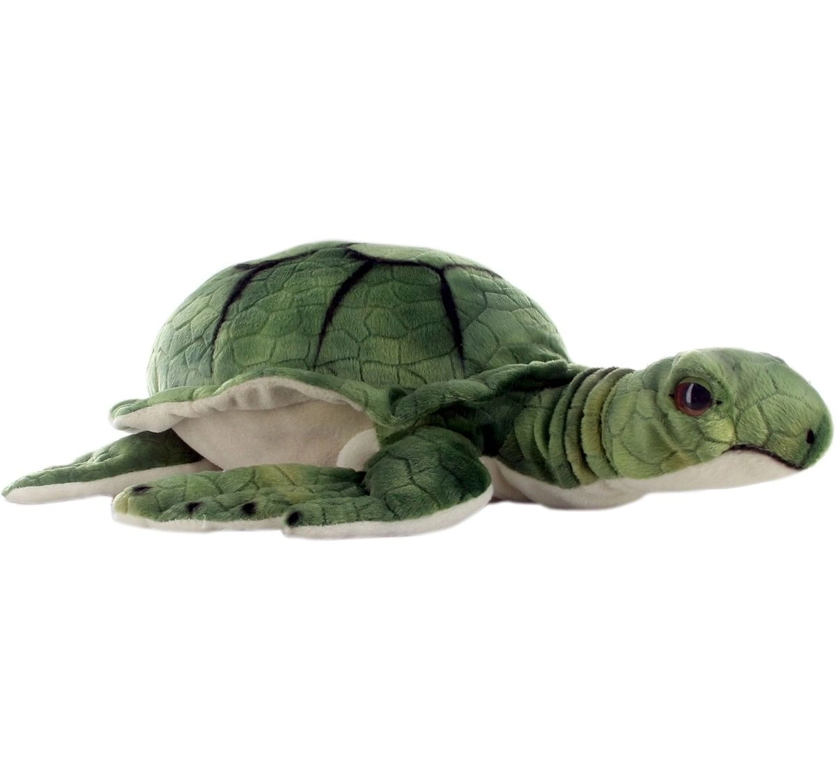 Hamleys Sea Turtle Soft Toy (Green) Animals & Birds for Kids age 0M+ - 10 Cm (Green)