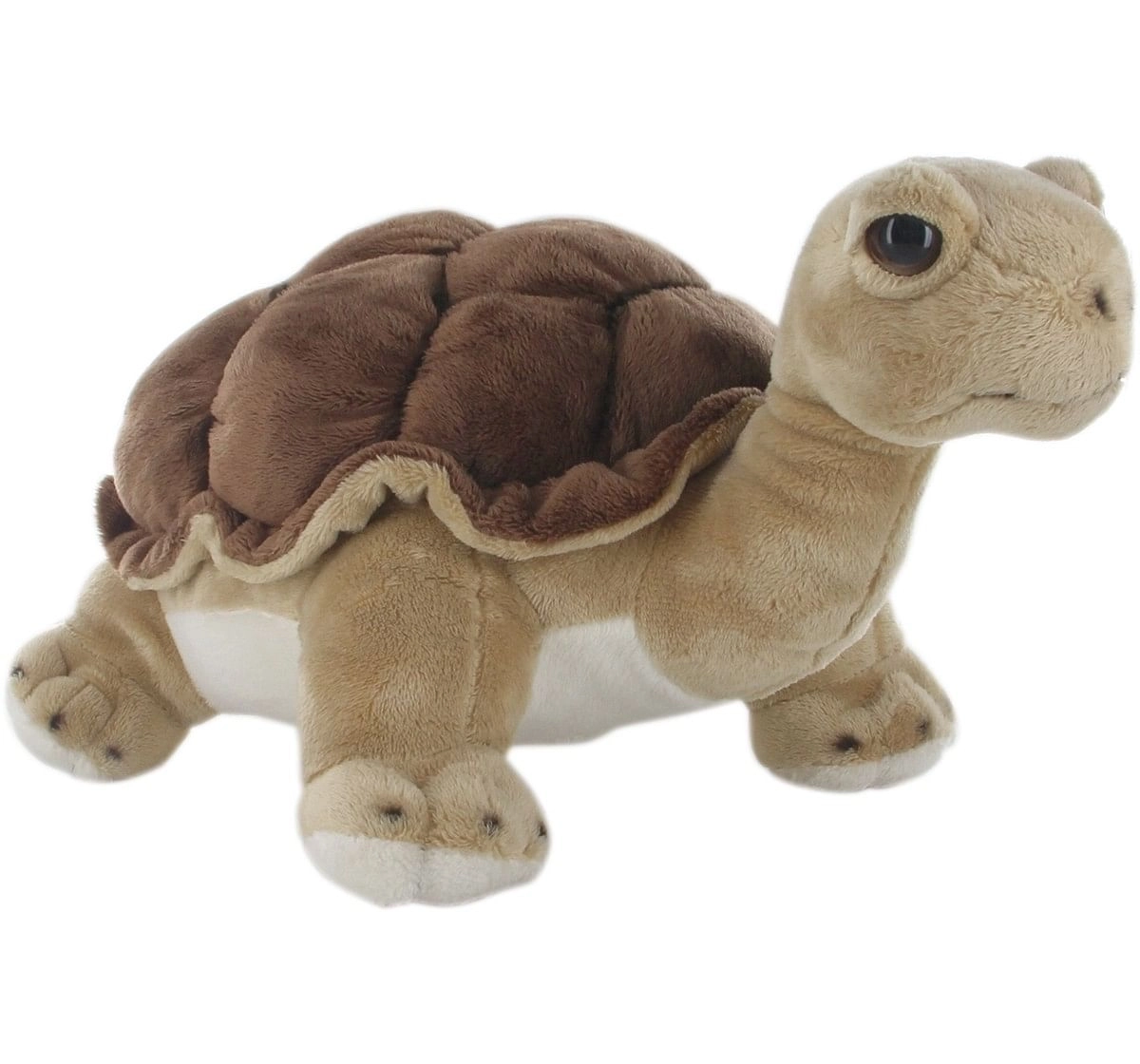 Hamleys Land Turtle Soft Toy (Brown) Animals & Birds for Kids age 0M+ - 11 Cm (Brown )