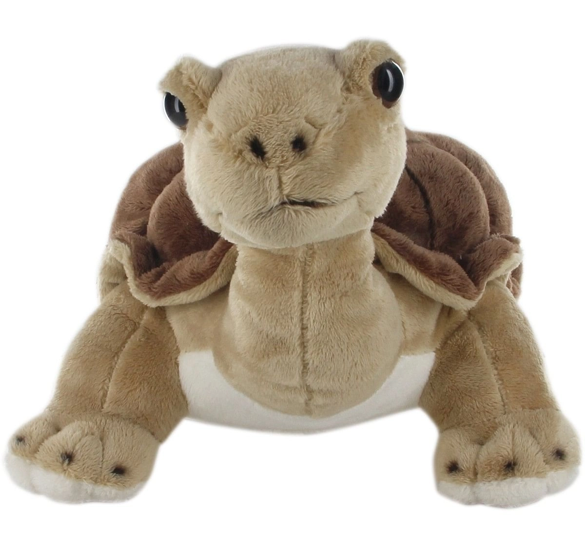 Hamleys Land Turtle Soft Toy (Brown) Animals & Birds for Kids age 0M+ - 11 Cm (Brown )