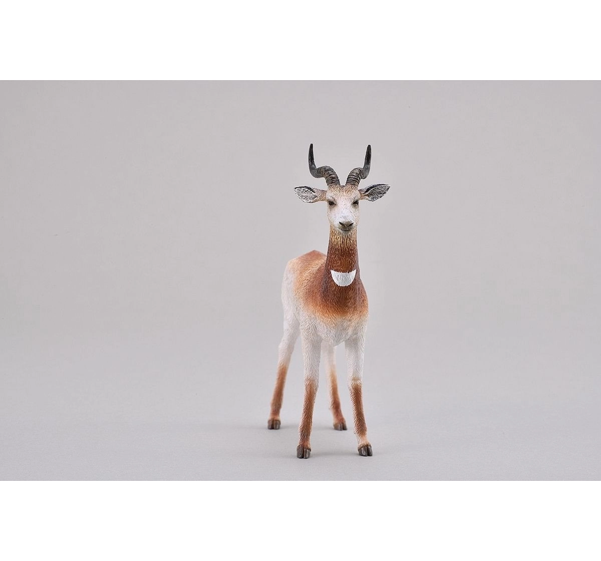 Collecta Dama Gazelle Animal Figure for Kids age 3Y+ 