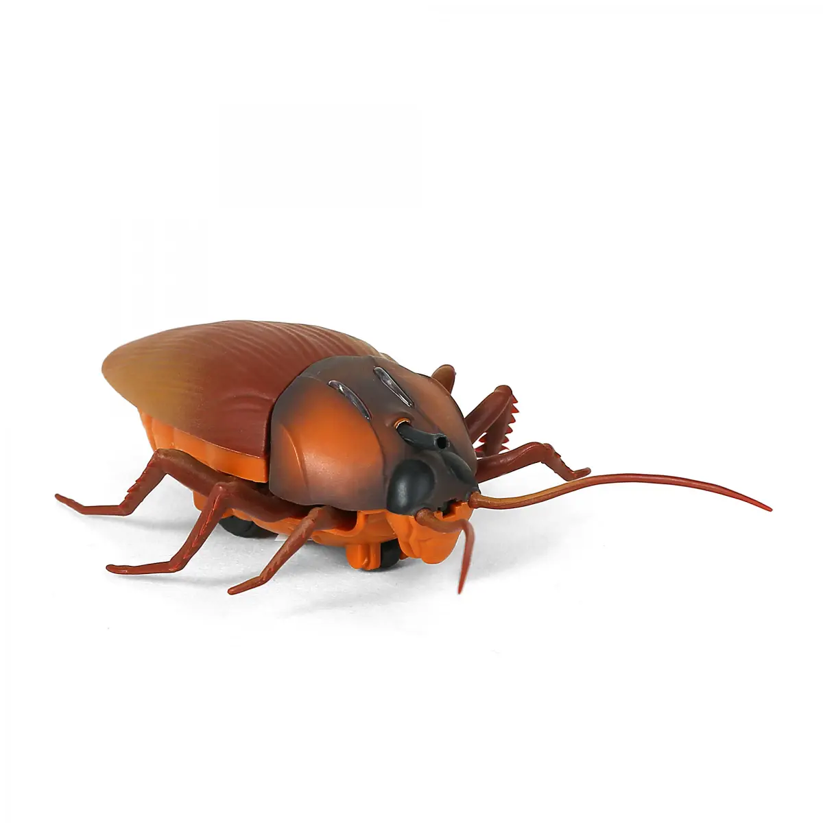 Hamleys Lifelike Moving Cheeky Cockroach, 6Y+, Brown