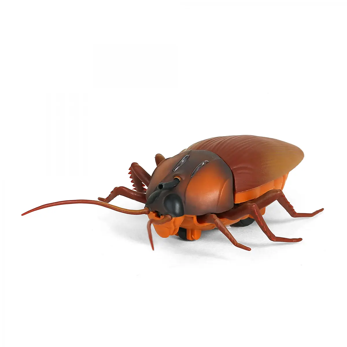 Hamleys Lifelike Moving Cheeky Cockroach, 6Y+, Brown