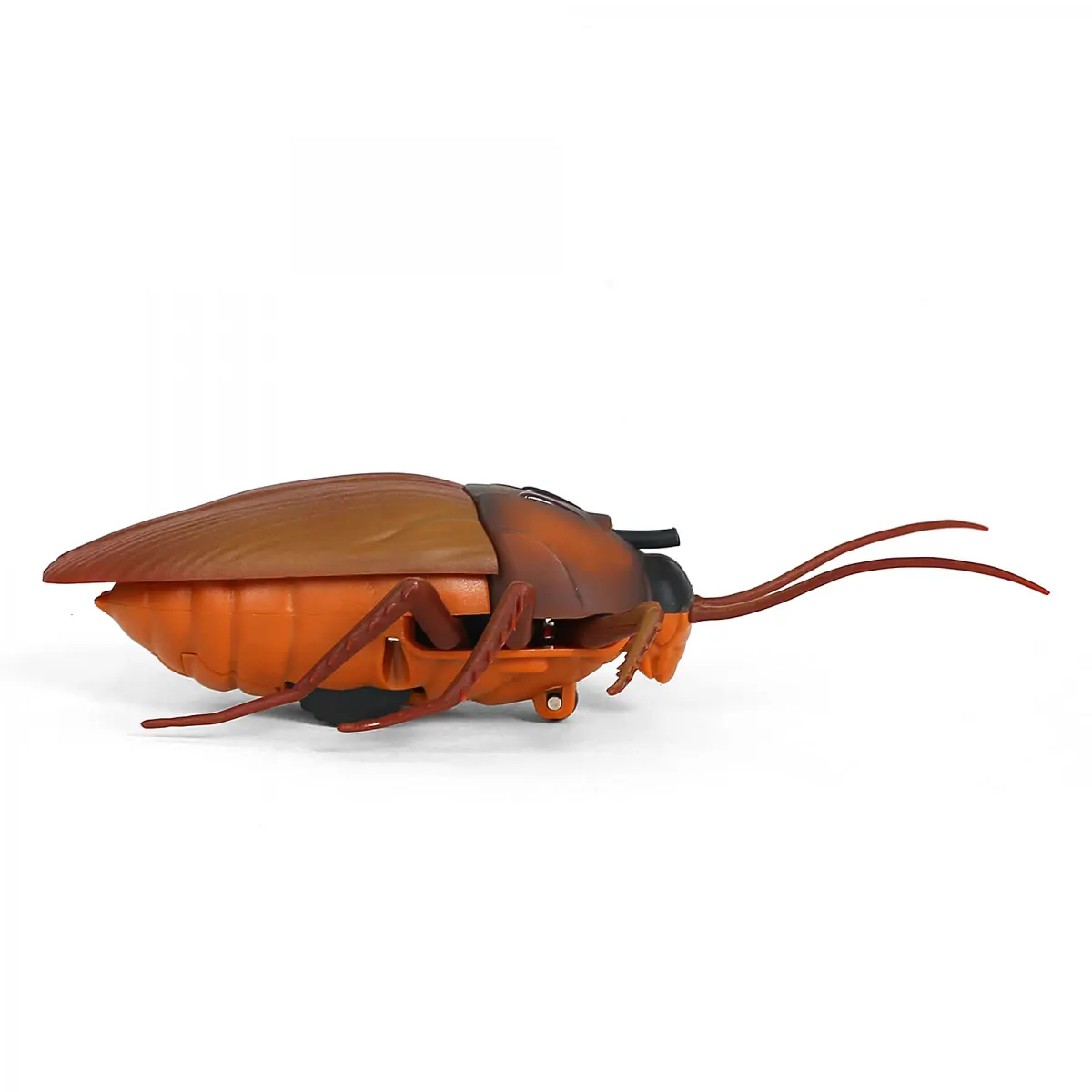 Hamleys Lifelike Moving Cheeky Cockroach, 6Y+, Brown