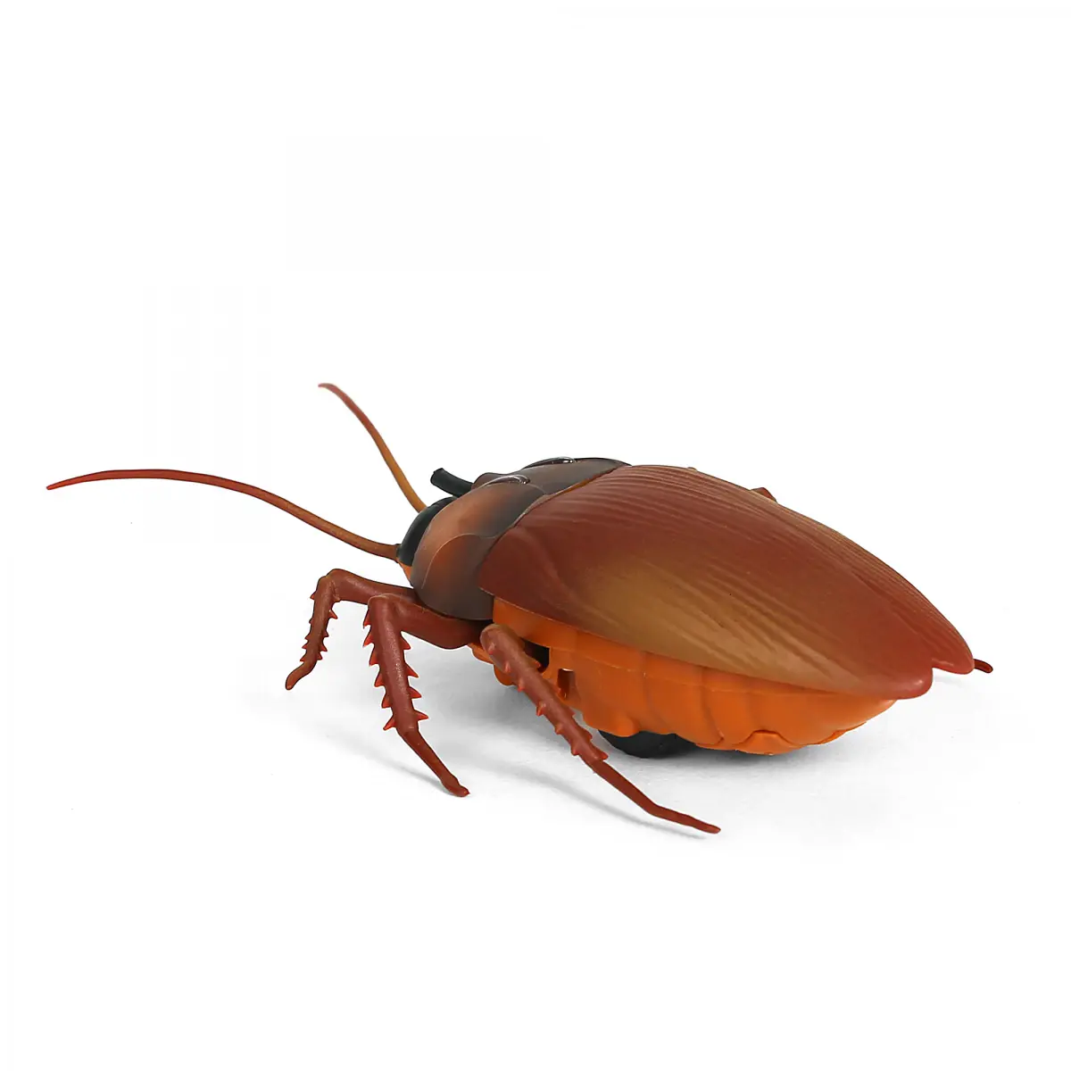 Hamleys Lifelike Moving Cheeky Cockroach, 6Y+, Brown