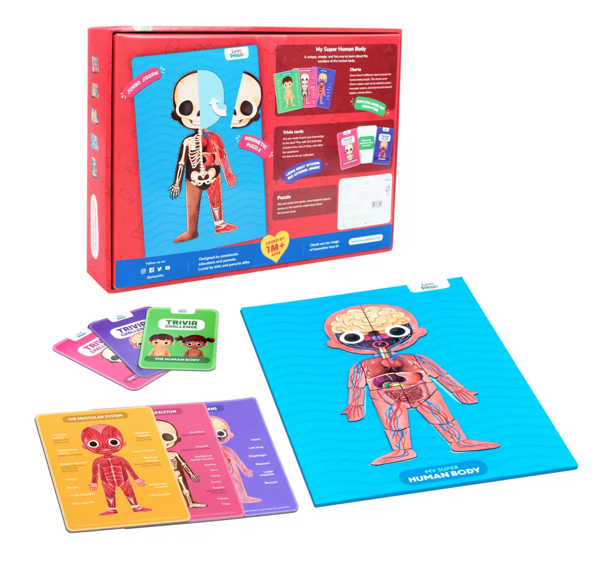 Bloomingo Human Body Puzzle, 5Y+