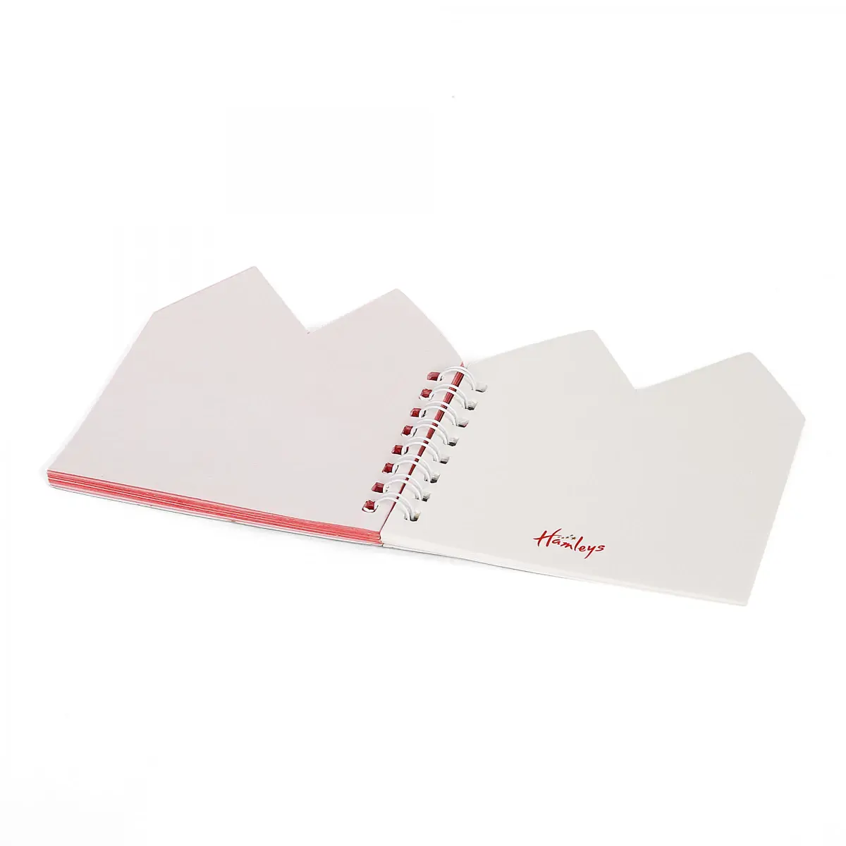Hamleys Mini Store Notebook, 3Y+