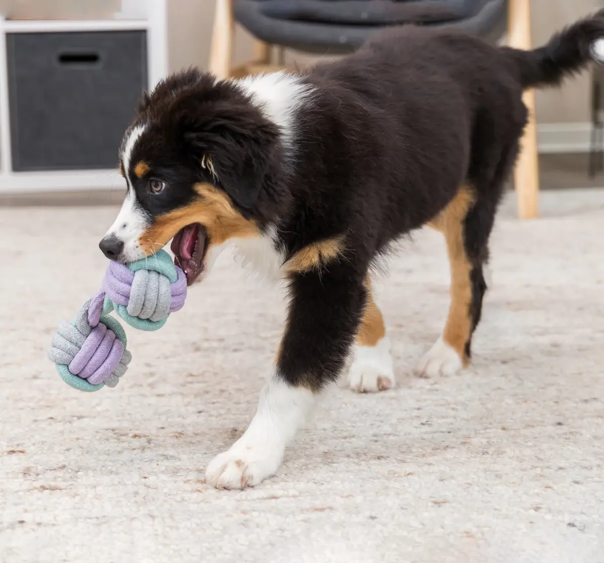 Trixie Junior Rope Dumbbell Toys for Pets, 22 cm