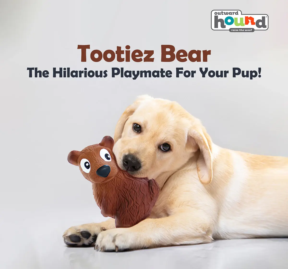 Outward HoundTootiez Bear Latex Rubber Dog Toy, Small, 13 cm X 8 cm