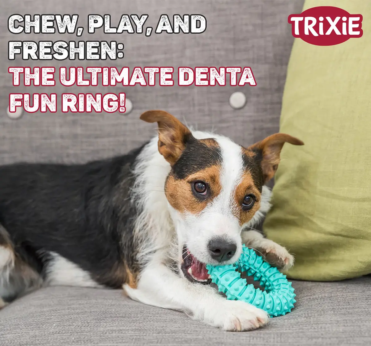 Trixie Denta Fun Ring with Mint Flavour for Pets, Natural Rubber, 12 cm