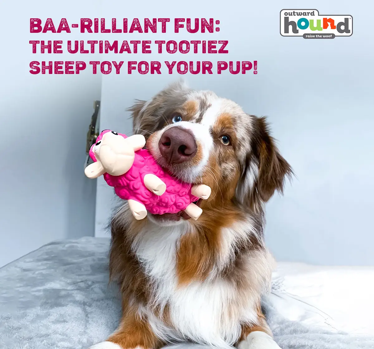Outward Hound Tootiez Sheep Latex Rubber Dog Toy, Small, 14 cm X 7 cm