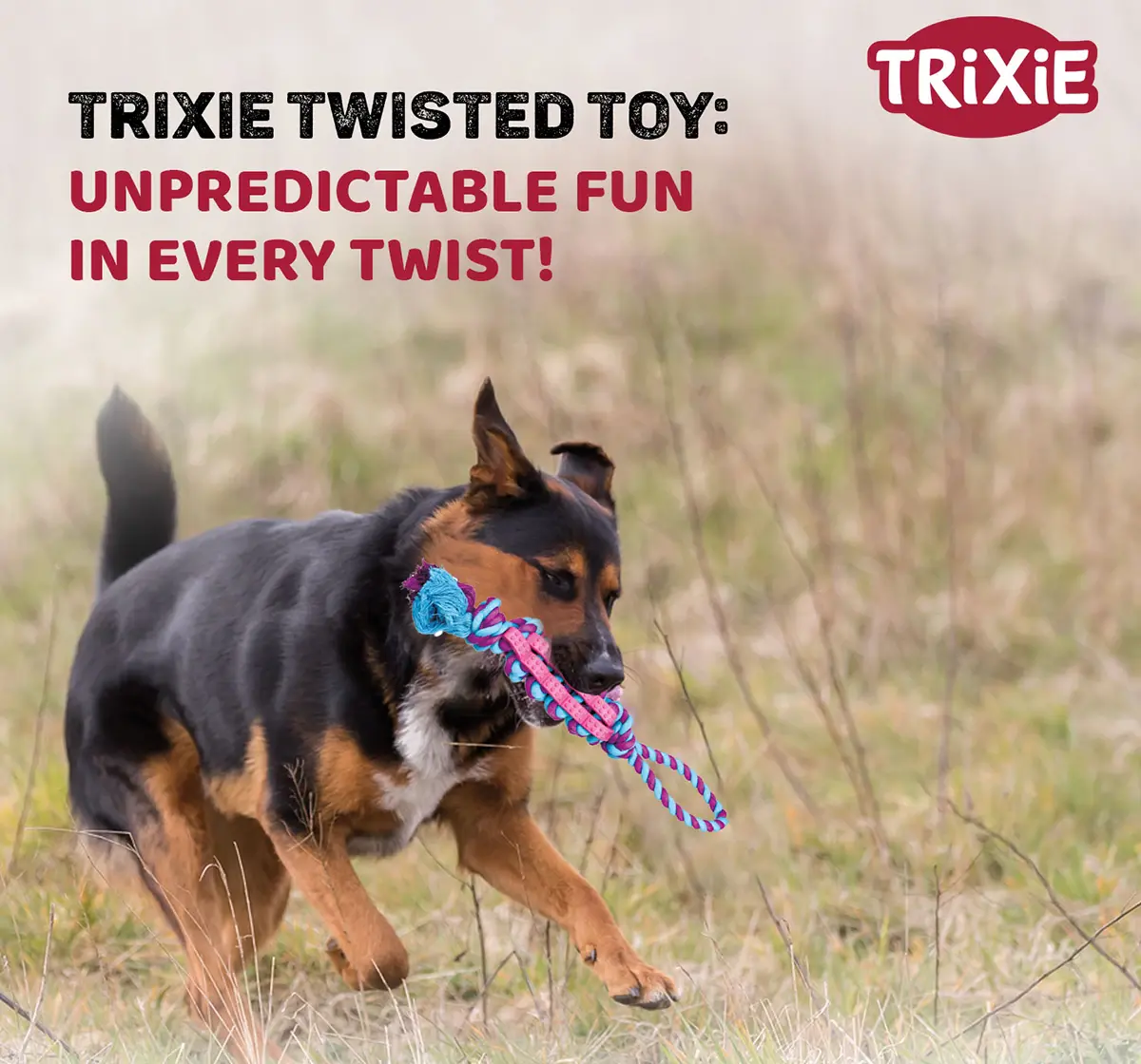 Trixie Twisted Stick, Toys for Pets, 37 cm