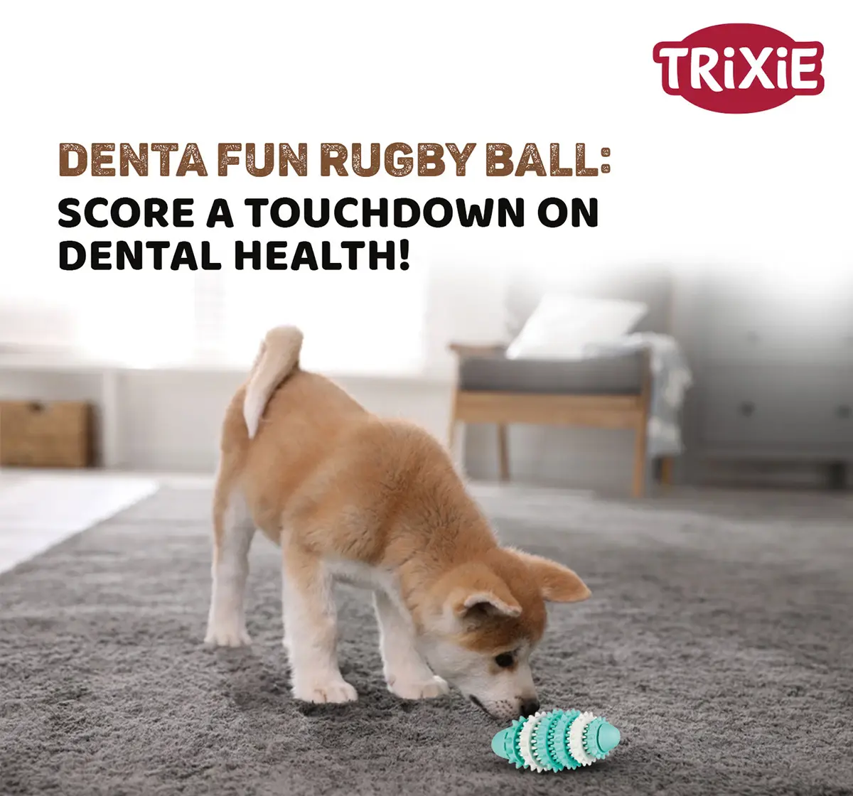 Trixie Denta Fun Rugby Ball for Pets, 15 cm