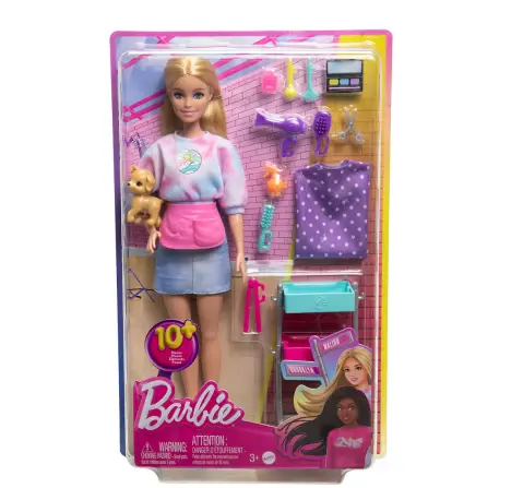 Barbie  Barbie Malibu Stylist,Girls,3Y+,Multicolour