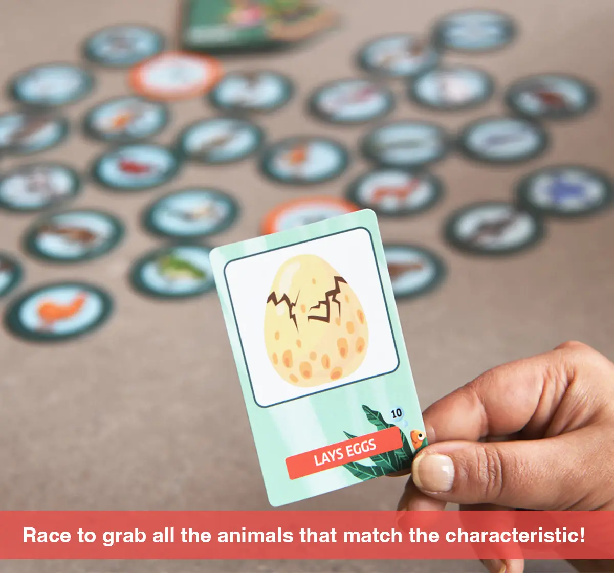 Chalk and Chuckles Eye See-Animals Game of Characterisitics, 3Y+, Multicolour