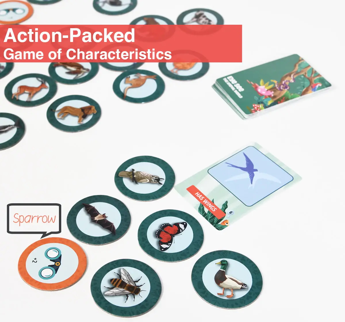 Chalk and Chuckles Eye See-Animals Game of Characterisitics, 3Y+, Multicolour
