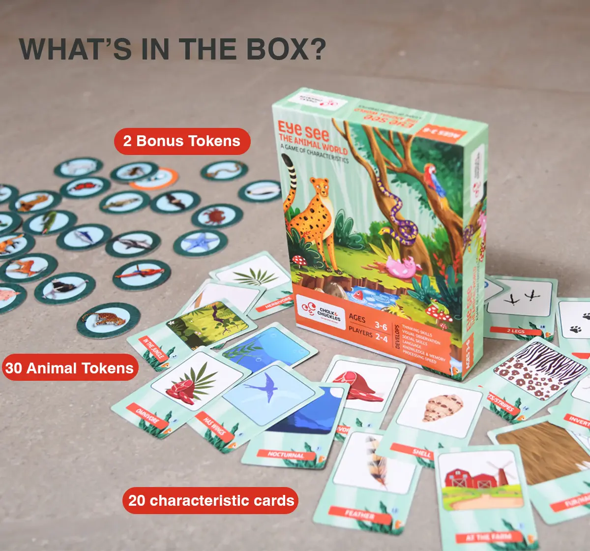 Chalk and Chuckles Eye See-Animals Game of Characterisitics, 3Y+, Multicolour