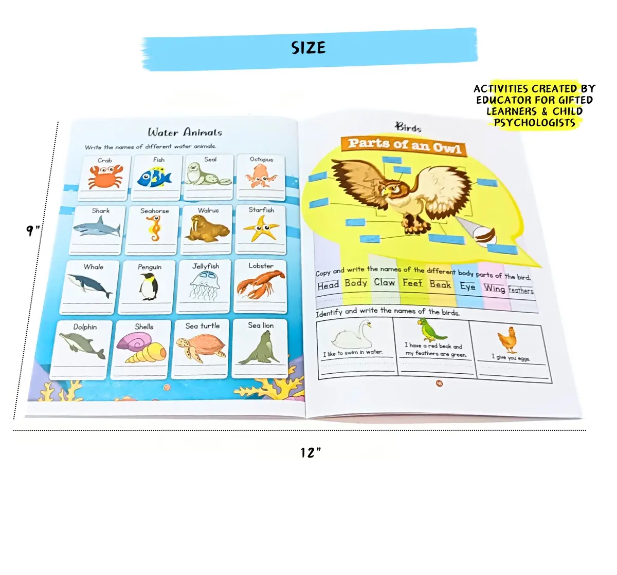 NerdNerdy Brainy Brain EVS Practice Book for 4Y+ LKG, age appropriate practice sheets, For schools & home use