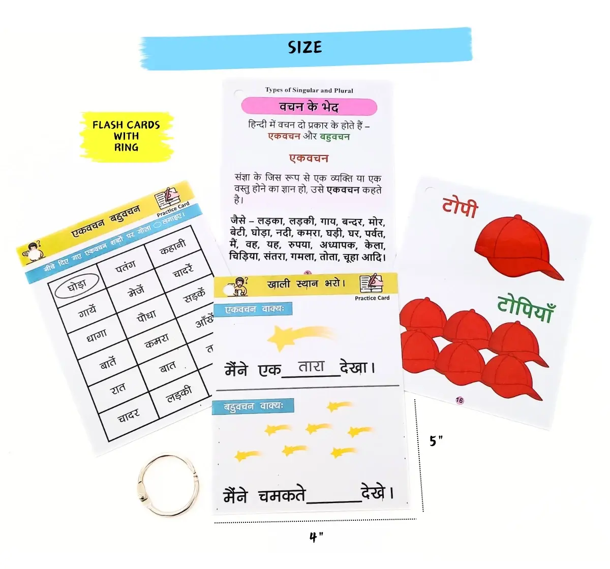 NerdNerdy Hindi Singular & Plural Flashcards, 5Y+, For classroom &home use