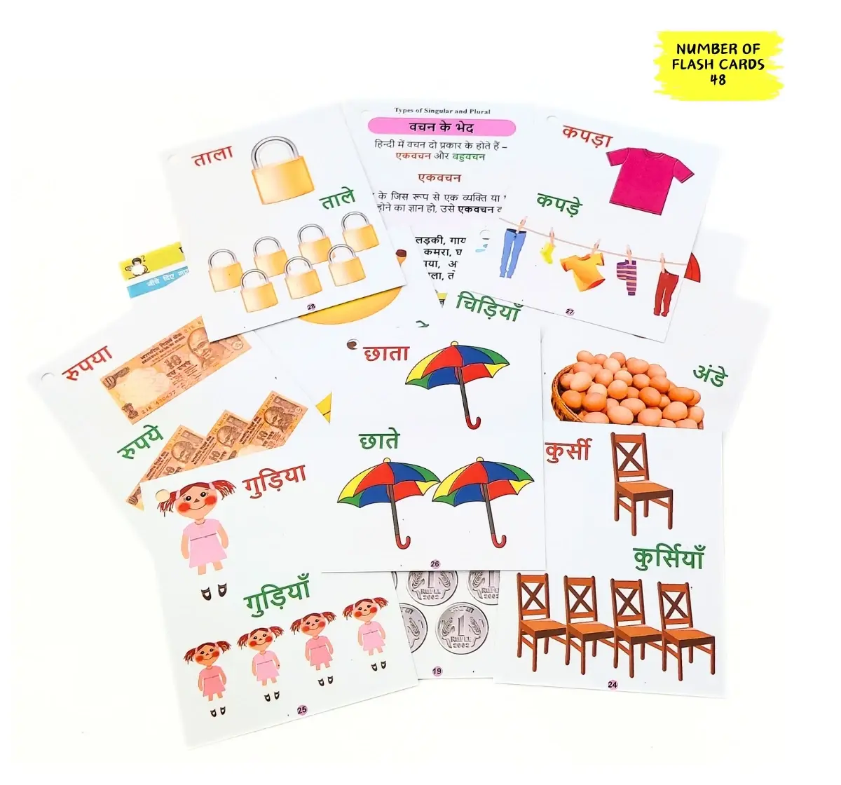 NerdNerdy Hindi Singular & Plural Flashcards, 5Y+, For classroom &home use