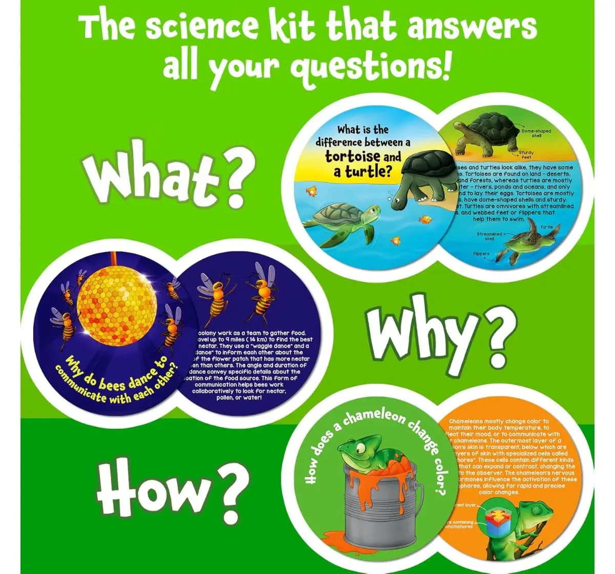 Skillmatics Flash Cards Science Snippets Kit, All About Animals, 7Y+