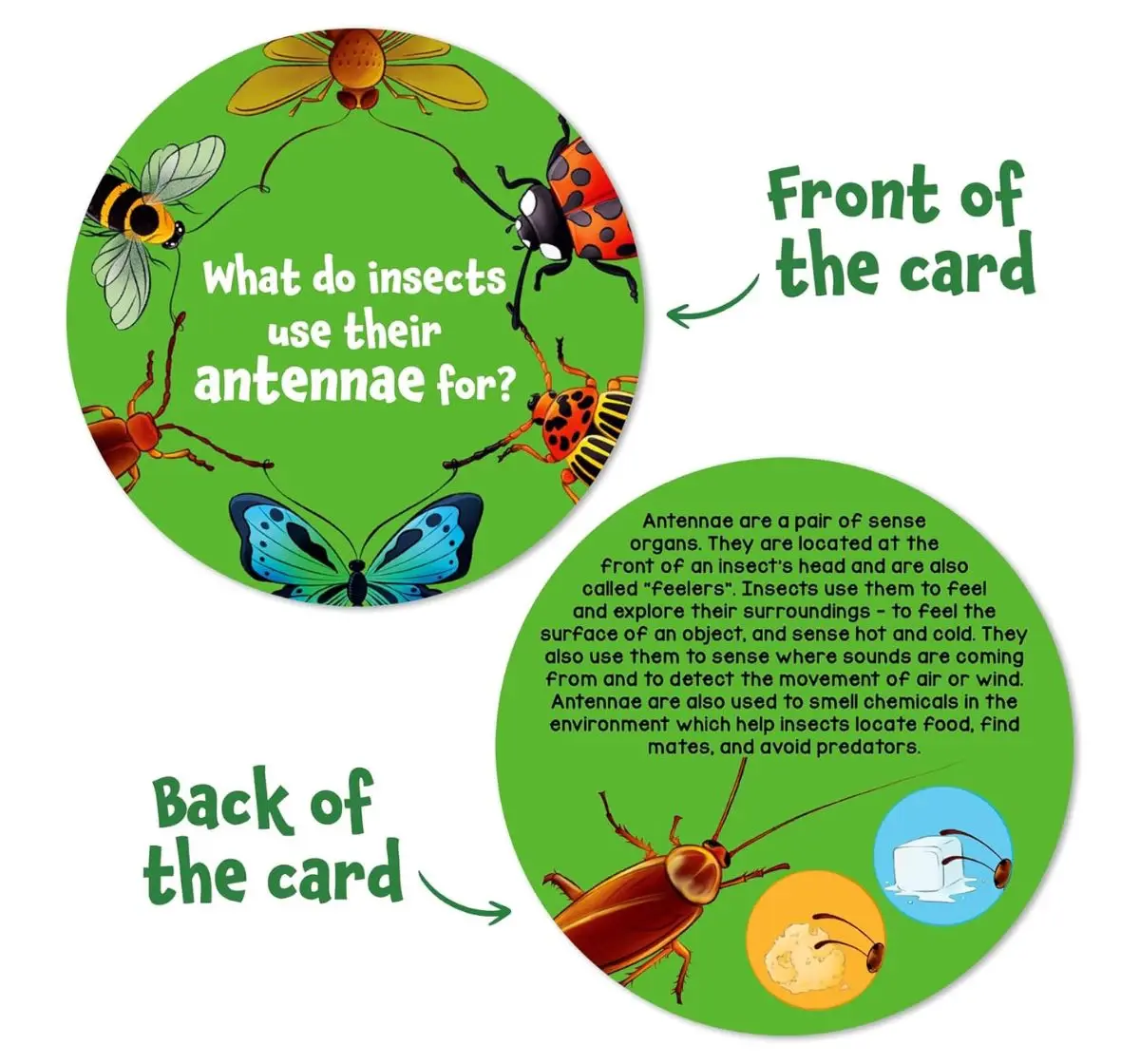 Skillmatics Flash Cards Science Snippets Kit, All About Animals, 7Y+