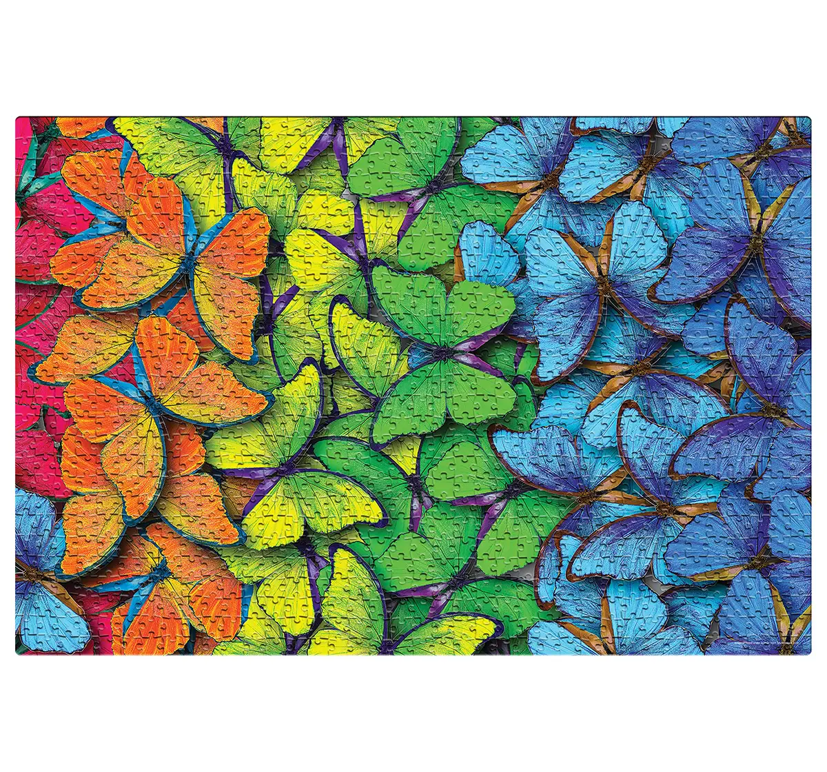 Frank Rainbow Flutter 1000 pieces Puzzle, 15Y+