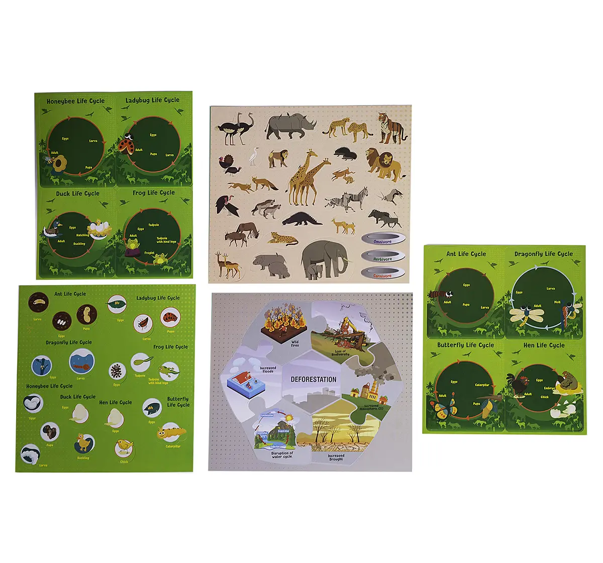 Youreka Nature Science Kit, 20 Activities, 5Y+