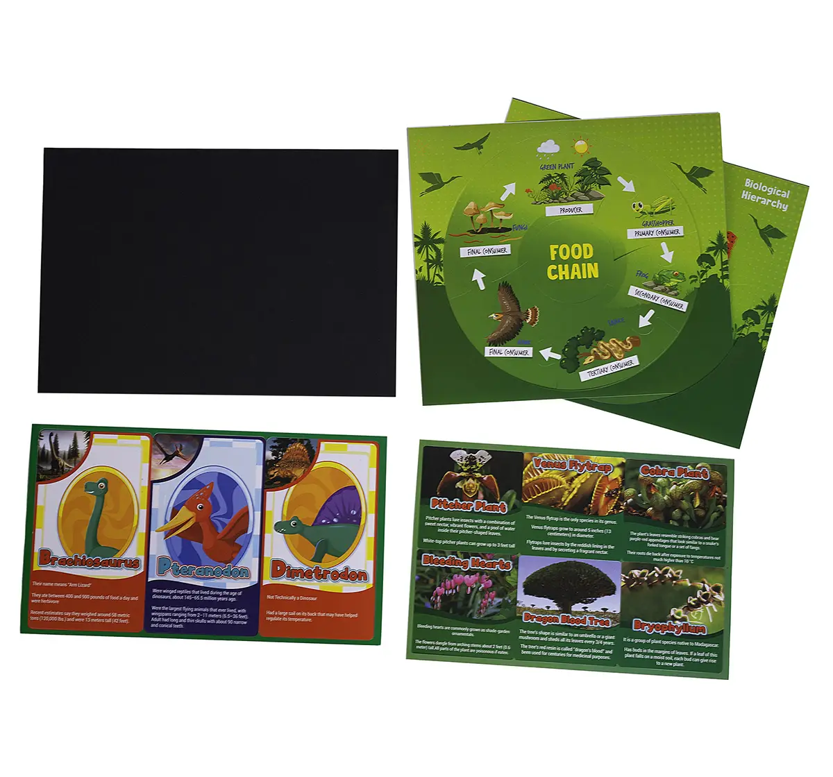 Youreka Nature Science Kit, 20 Activities, 5Y+