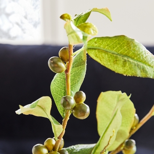 Faux Coffee Branch