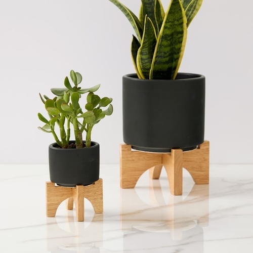 Turned Wood Ceramic Tabletop Planter
