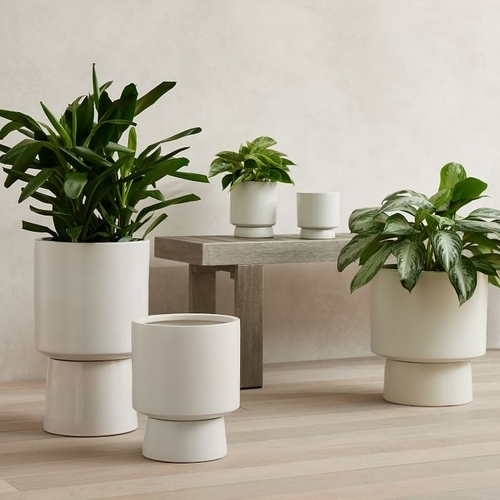 Bishop Earthernware Planter