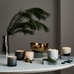 Rove Collection - Hidden Habitat (Bergamot & Vanilla)