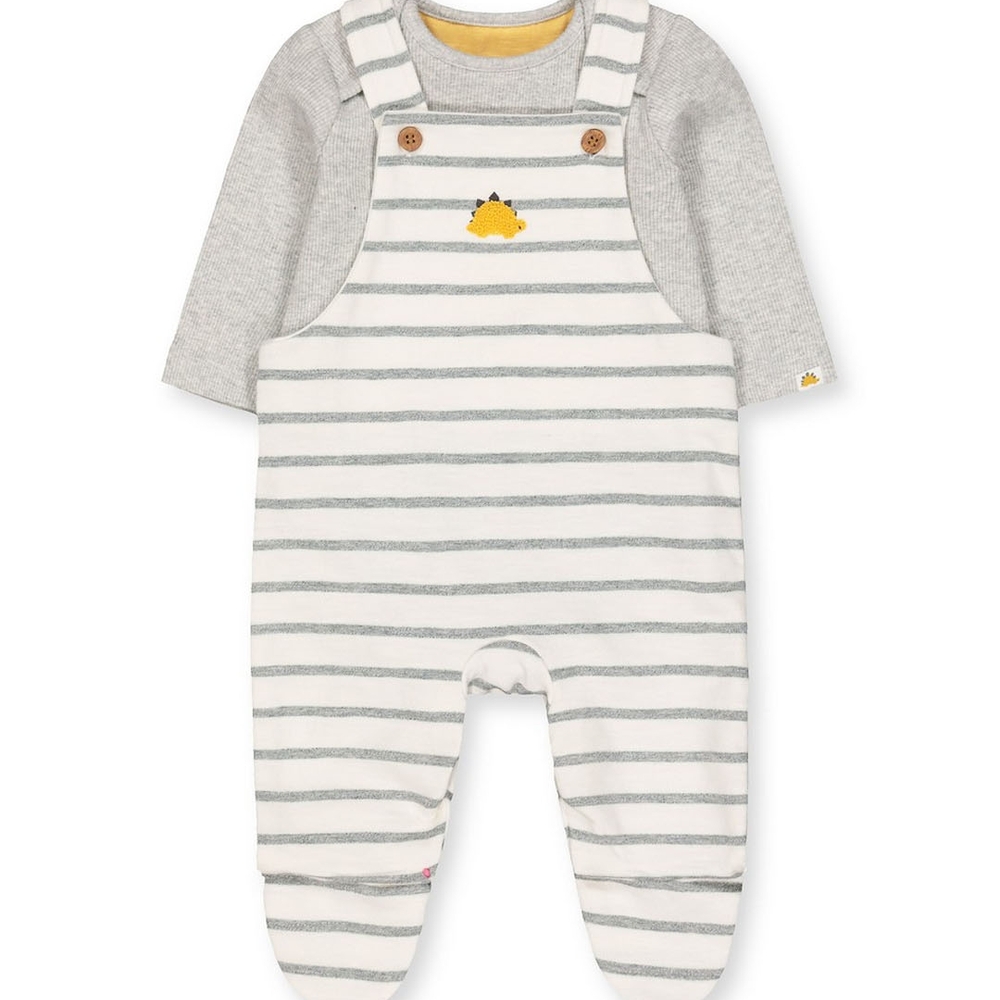 

Dinosaur Stripe Dungarees And Grey Bodysuit Set