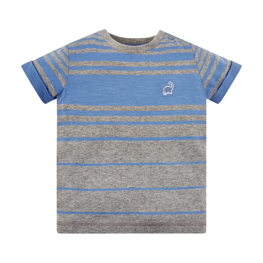 

Grey And Blue Striped Dino T-Shirt
