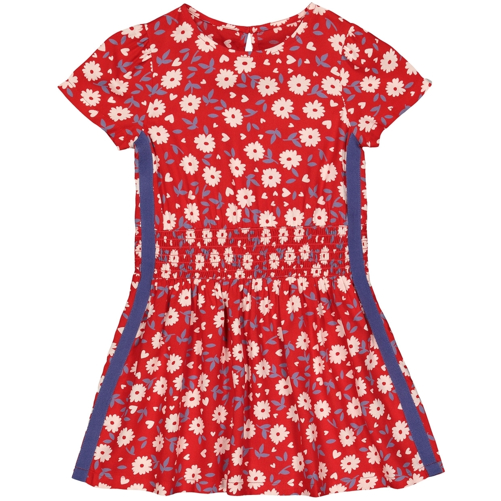 

Woven Red Floral Side-Stripe Dress