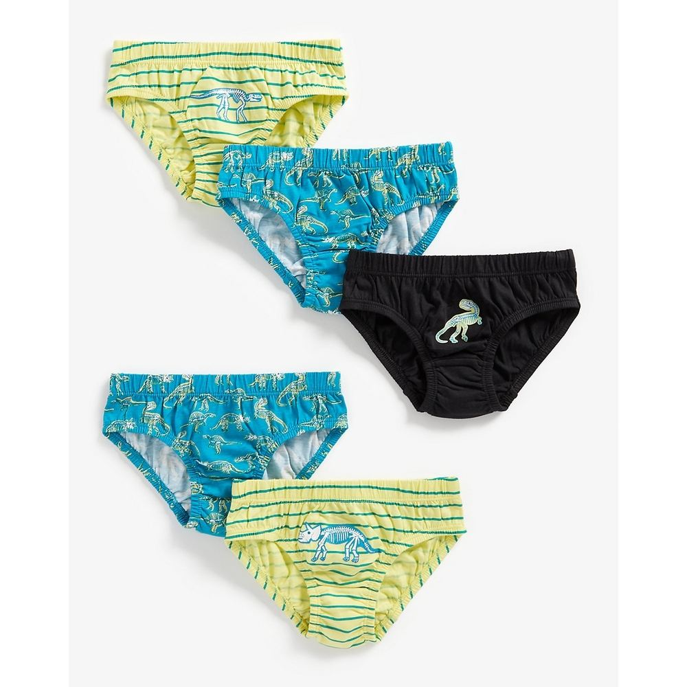 

Boys Briefs Dino Printed-Pack of 5-Multicolor