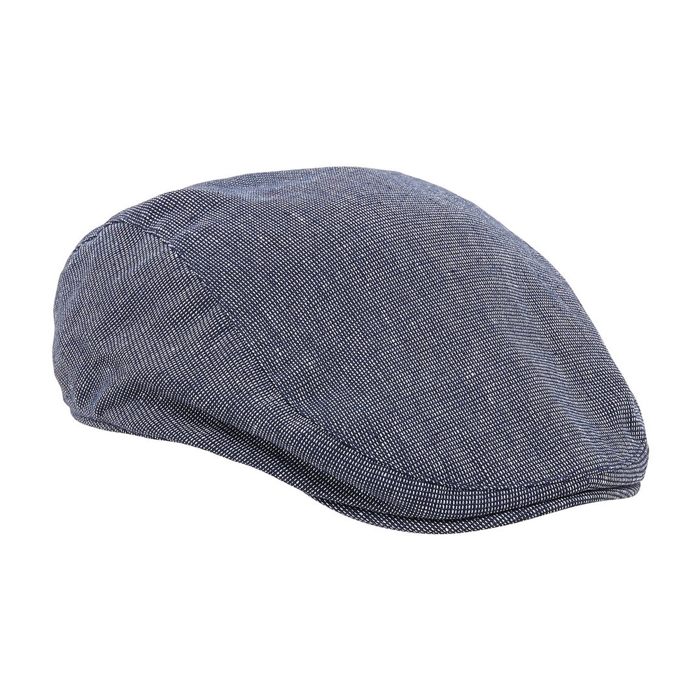 

Striped Denim Flat Cap