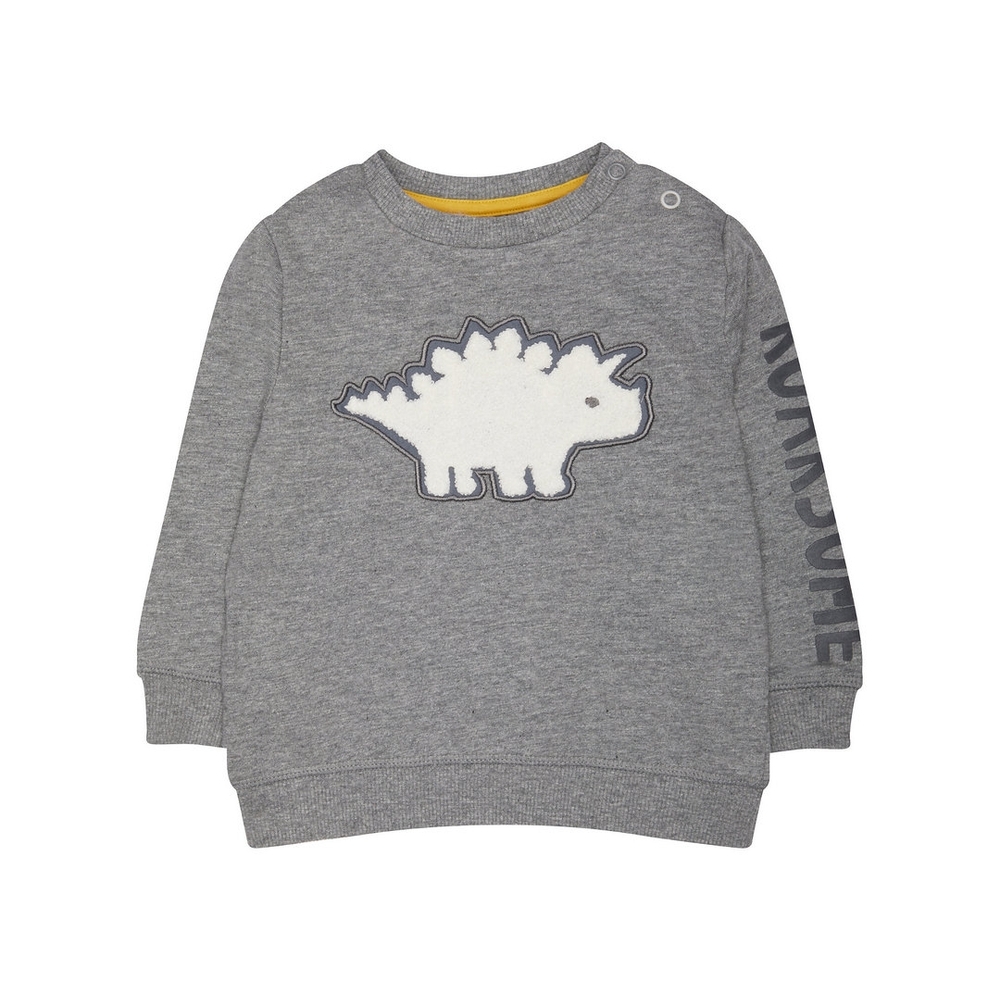 

Grey Roarsome Dinosaur Sweat Top