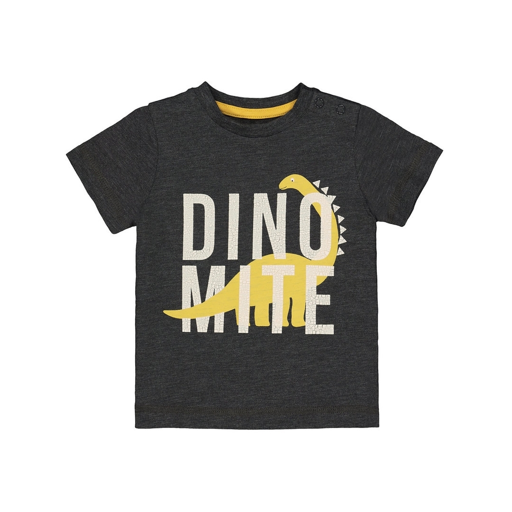 

Boy Half Sleeve Round Neck T-Shirt Dino Print Black