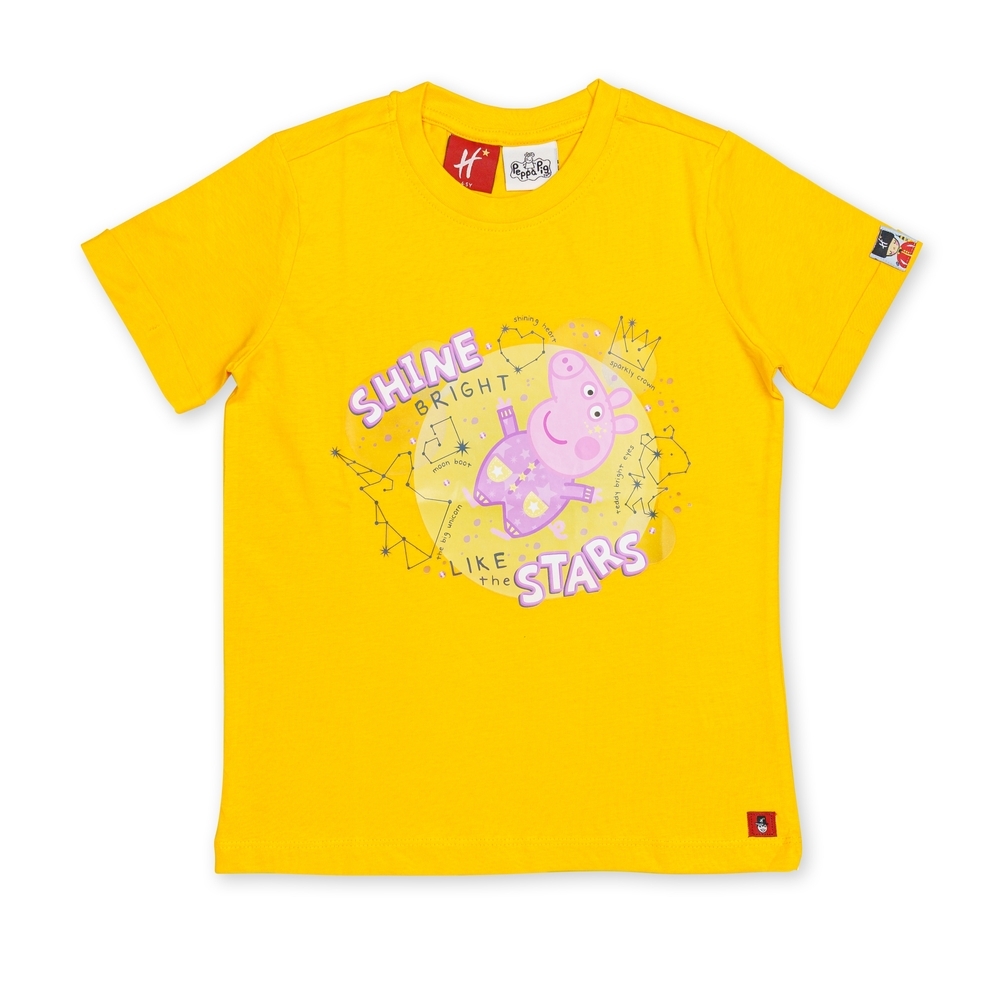 

UNISEX HM- Half Sleeve T-shirt -Pack of 1-YELLOW