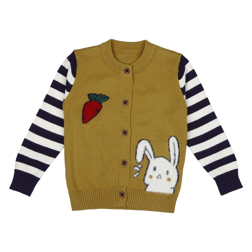 

Boys Full sleeves Sweater - Yellow