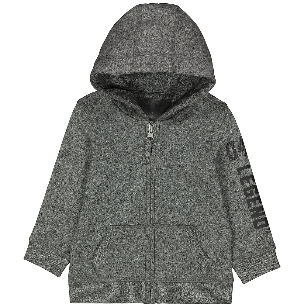

Boys Full Sleeves Hooded Sweatshirt Text Print - Grey