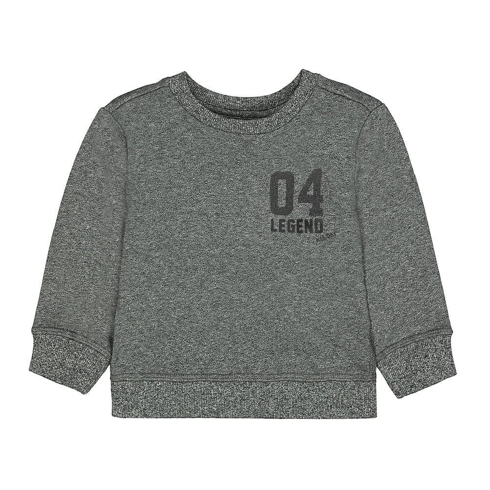 

Boys Full Sleeves Sweatshirt Text Print - Grey