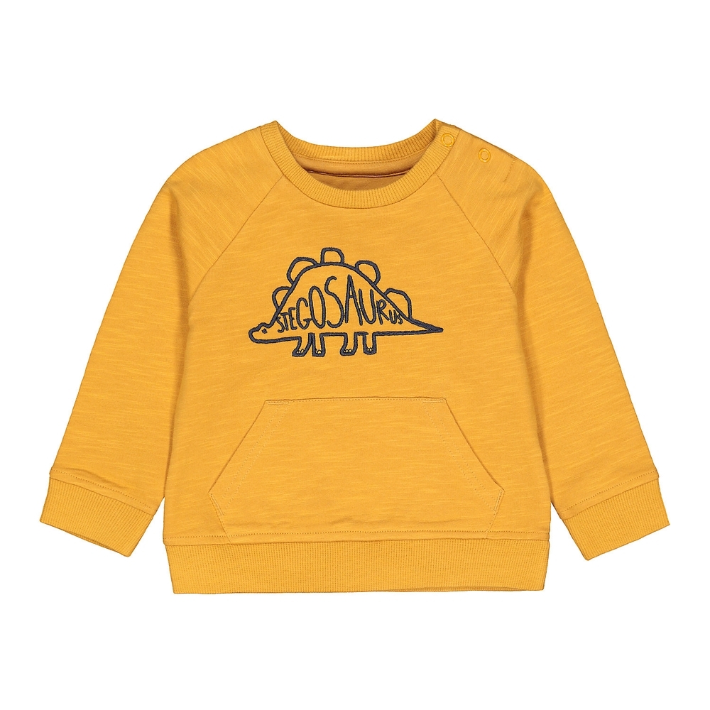 

Boys Full Sleeves Sweatshirt Dino Embroidery - Yellow