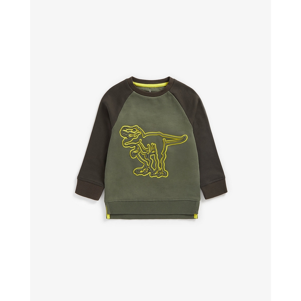 

Boys Full Sleeves Sweatshirt Embossed Dino Design - Grey